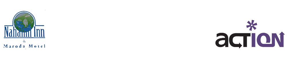 ION Print Solutions Logo